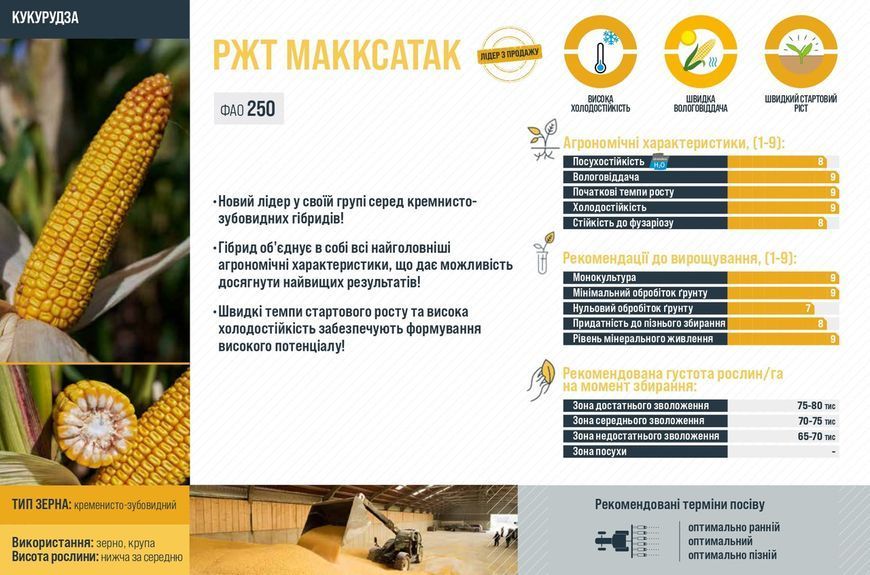 Насіння кукурудзи РЖТ Макксатак ФАО 250, RAGT фото