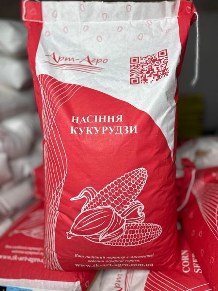 Насіння кукурудзи Рубен ФАО 300 фото