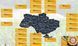Семена кукурзы РЖТ Макксалия ФАО 250, RAGT 2023 фото 2