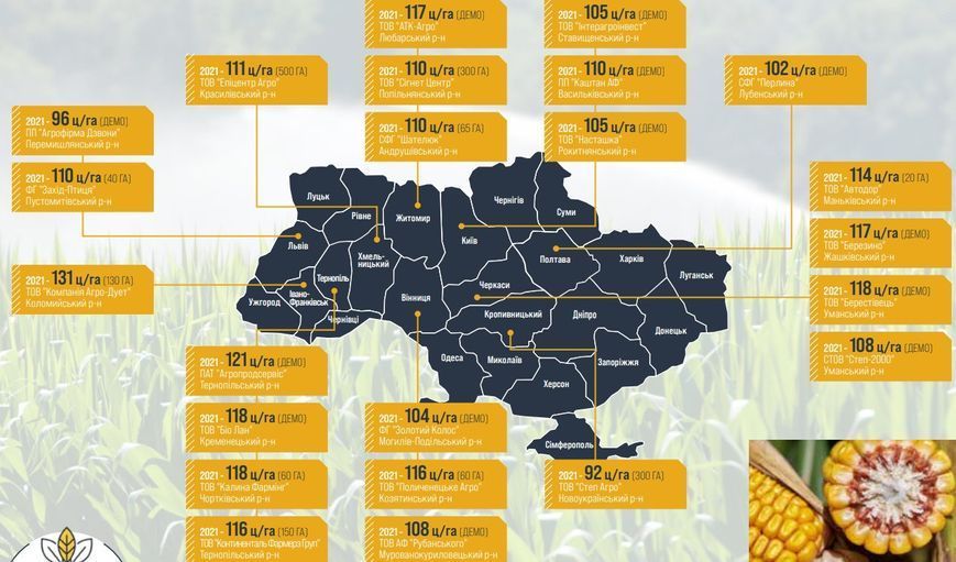 Семена кукурзы РЖТ Макксалия ФАО 250, RAGT фото