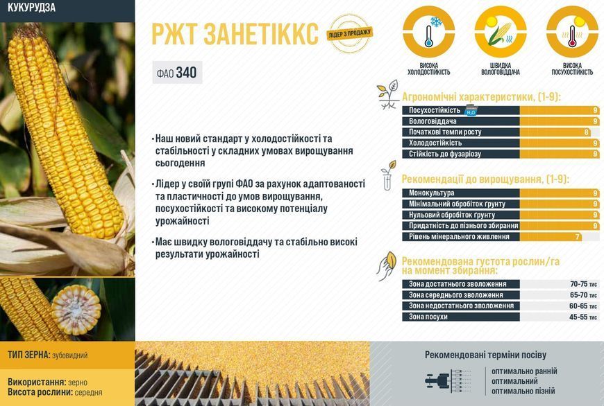 Насіння кукурудзи РЖТ Занетіккс ФАО 340, RAGT фото