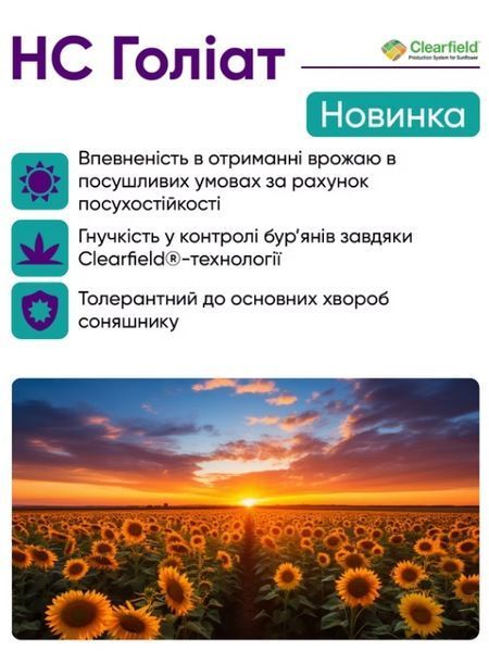 ГОЛІАТ Насіння соняшника під євролайтинг фото
