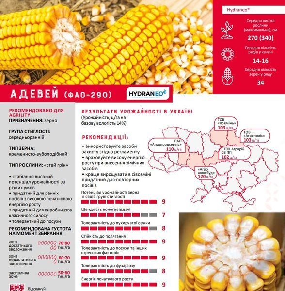 Семена кукурзы Адевей ФАО 290 фото