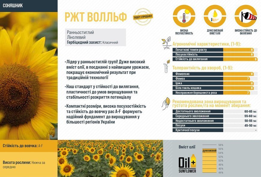 РЖТ Волльф Семена подсолнечника (классический) фото