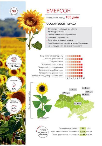ЕМЕРСОН насіння соняшника під гранстар фото