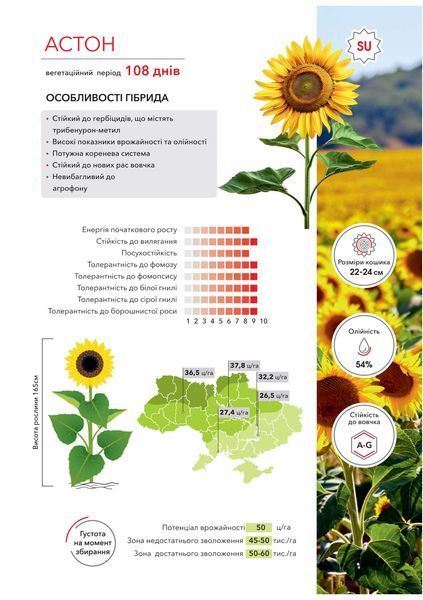 АСТОН Насіння соняшника під гранстар фото