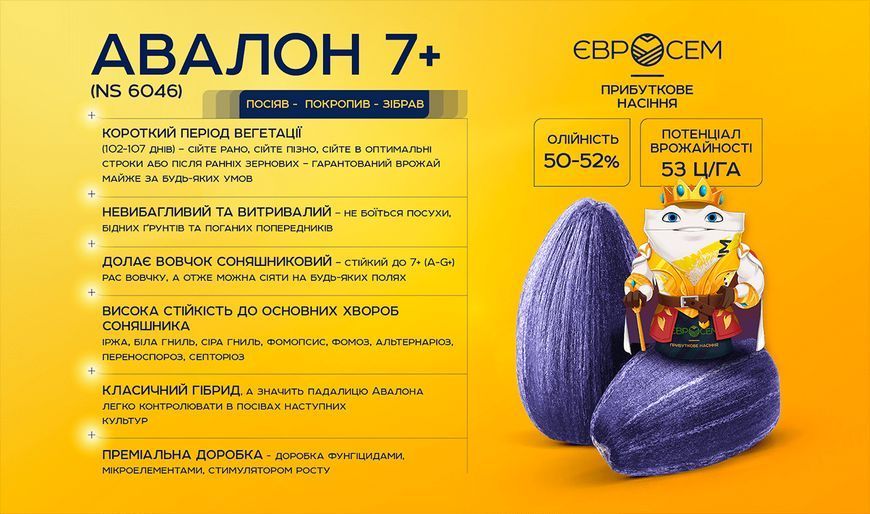 Авалон Насіння соняшника фото
