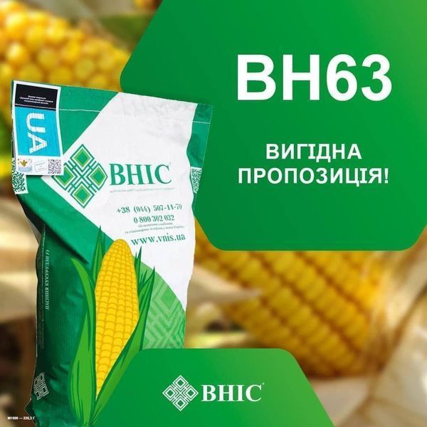 Насіння кукурудзи ВН 63&nbsp;ФАО 280 фото