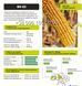 Насіння кукурудзи ВН 63&nbsp;ФАО 280 ВН 63&nbsp;ФАО 280 фото 2