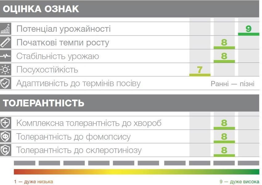 Насіння соняшника під гранстар Суміко фото