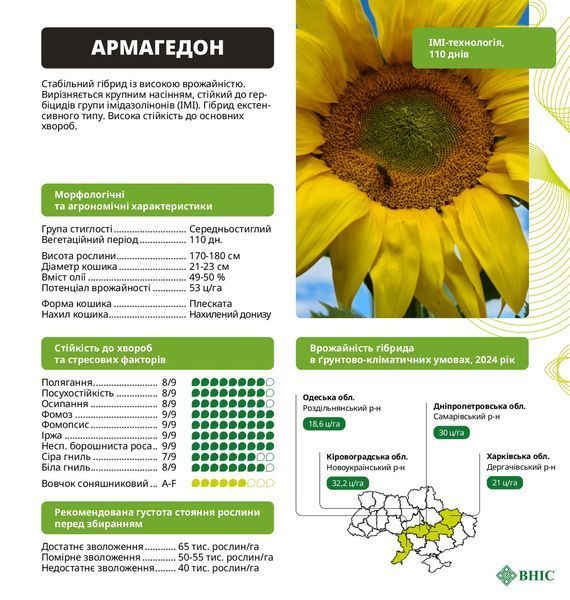 АРМАГЕДОН Насіння соняшника під євролайтинг фото