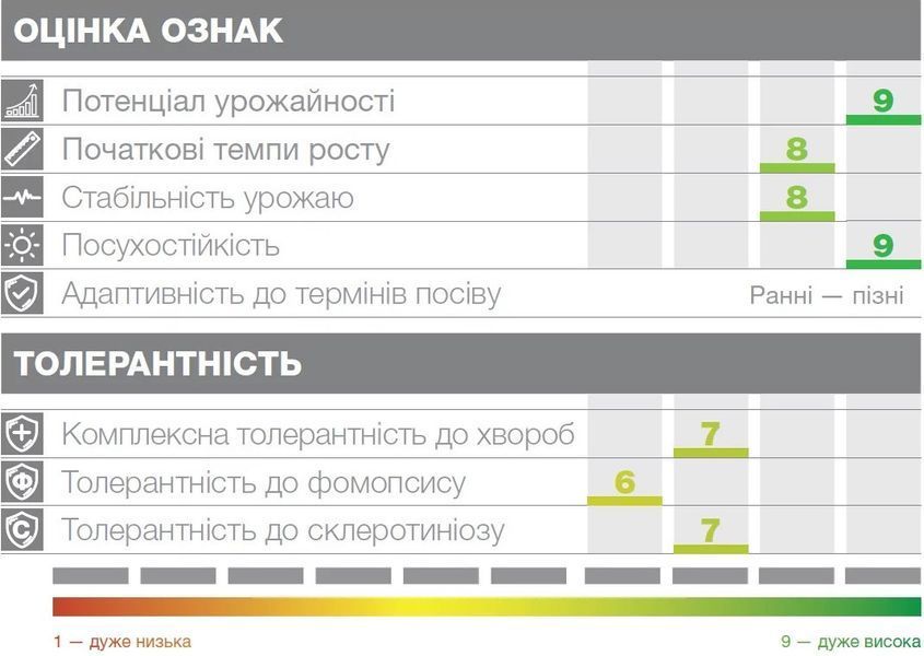 Семена подсолнечника под гранстар Сузука фото