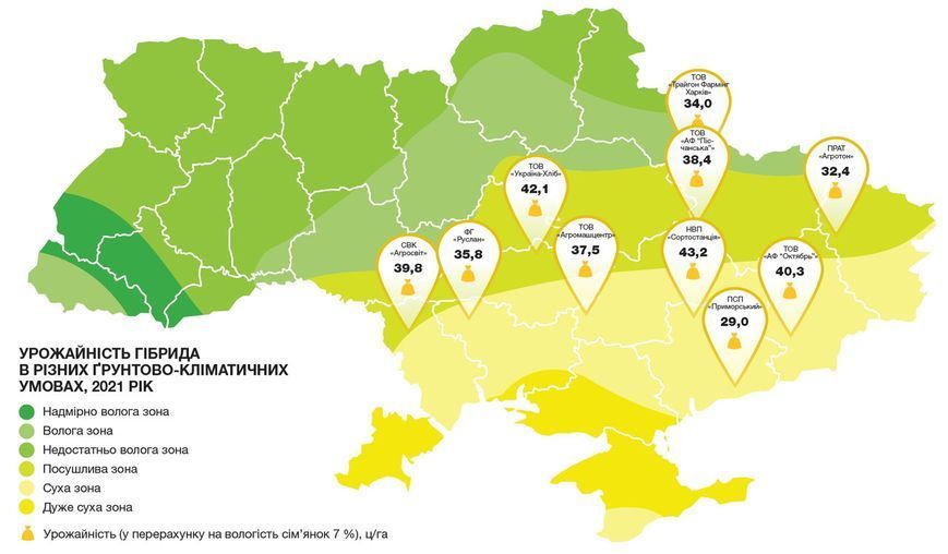 Семена подсолнечника под гранстар Сузука фото