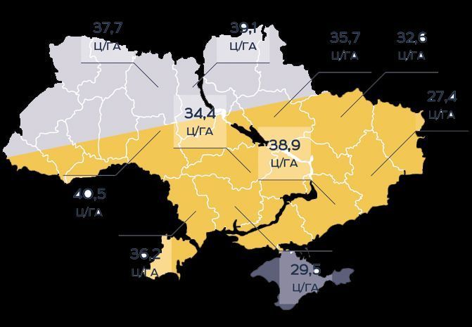 Пегас Насіння соняшника під євролайтинг фото