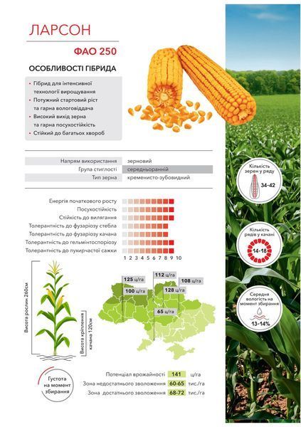 Насіння кукурудзи Ларсон ФАО 250 фото