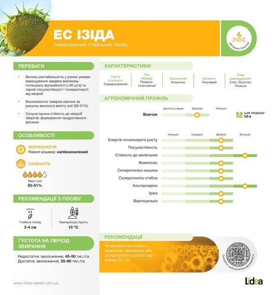 Насіння соняшника ЕС ІЗІДА (класичний) фото