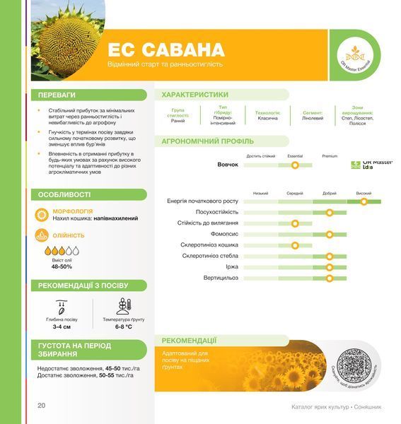 Насіння соняшника ЕС САВАНА (класичний) фото