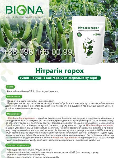 Нітрофікс (Нітрагін) горох Сухий інокулянт для гороху уп.1,6кг на 1т фото