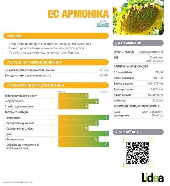 Семена подсолнечника под гранстар ЕС Армоника фото