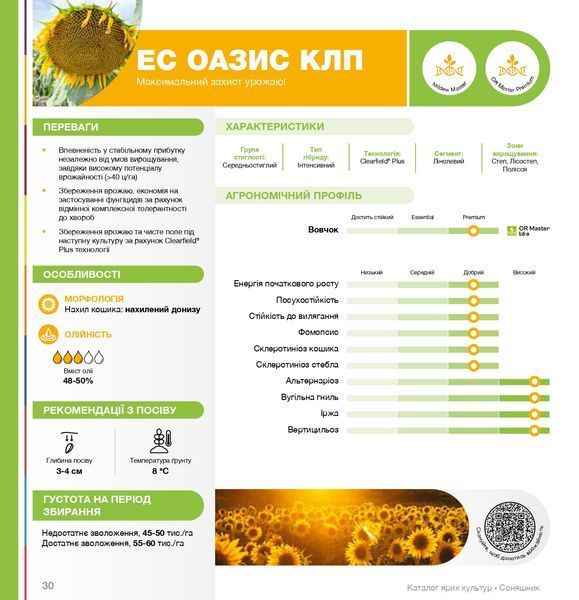 Насіння соняшника ЕС ОАЗИС КЛП (під Євролайтинг Плюс) фото
