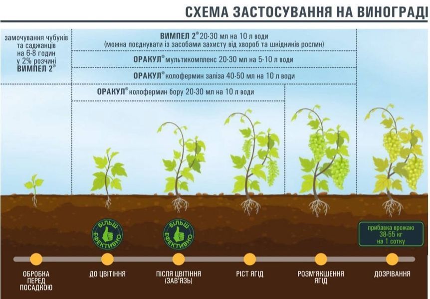 Вимпел 2 Стимулятор росту (антистресант) фото