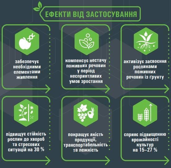 Оракул мультикомплекс фото