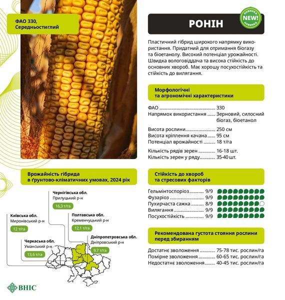 Насіння кукурудзи Ронін ФАО 330 фото