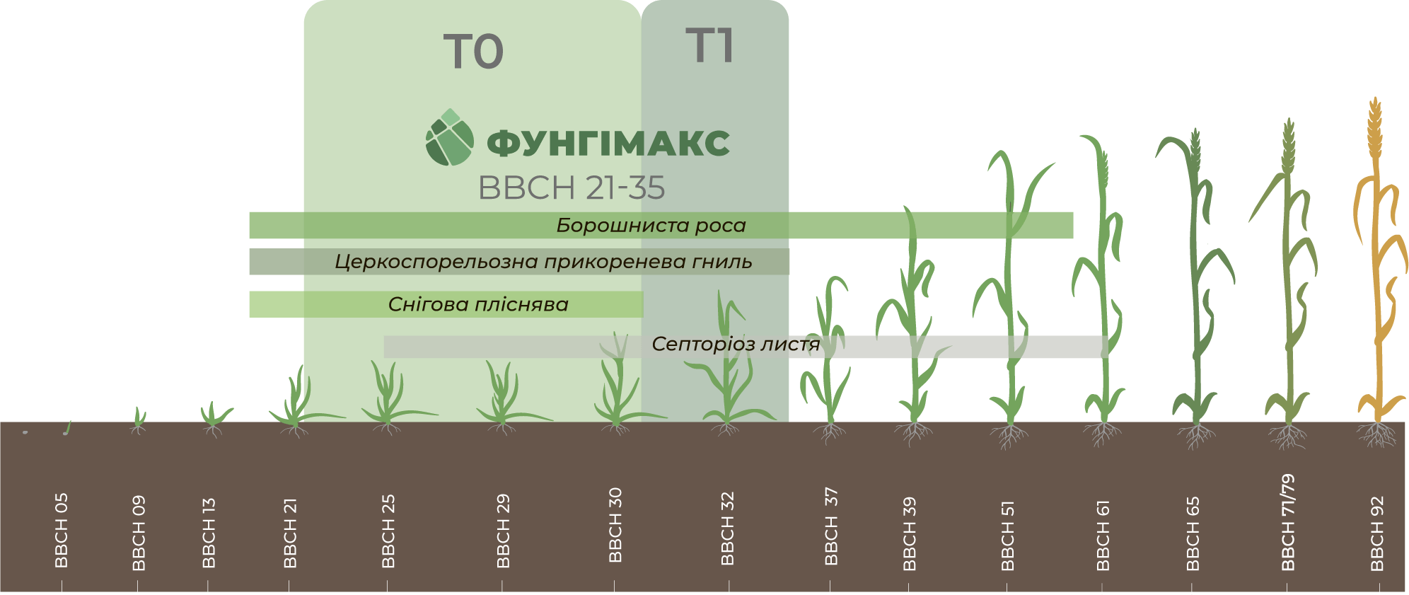 перша обробка зернових, друга обрбка зернових